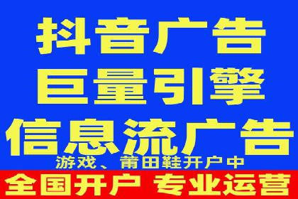 专业SEM服务公司案例分析报告